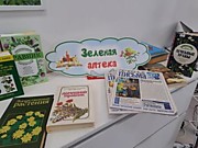 «Рецепт народный – эффект бесподобный»