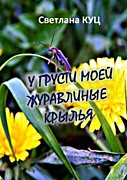 Презентация сборника рассказов  «У грусти моей журавлиные крылья»