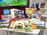 Краеведческий интерактив «Прогулка по Октябрьскому